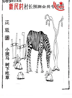 26089期: 老村长福彩3D天天图谜