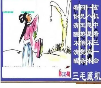 25330期: 三毛3D精品图谜