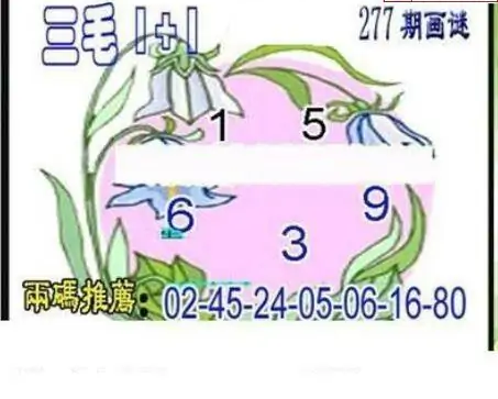 25277期: 三毛3D精品图谜