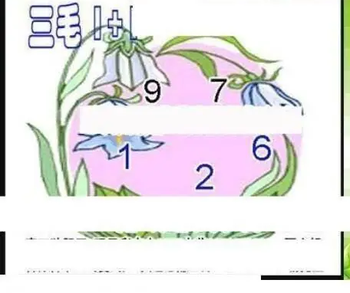 26085期: 三毛3D精品图谜