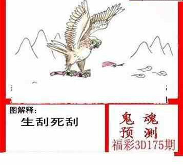 24175期: 白老3D杀码图版