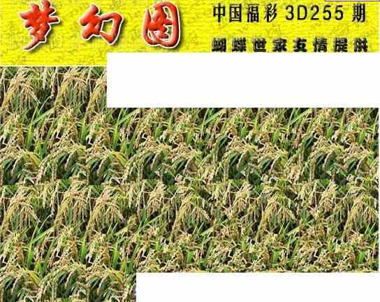 24255期: 3D蝴蝶世家蝴蝶彩图