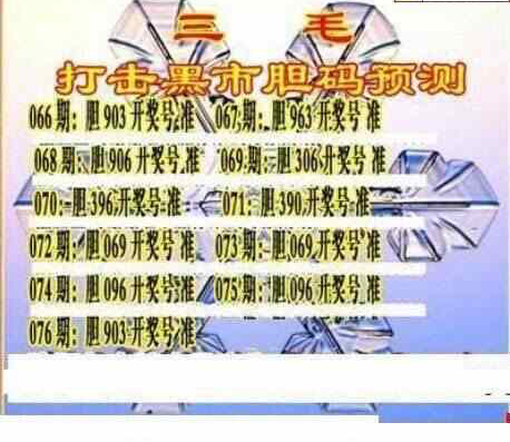 24076期: 三毛3D精品图谜