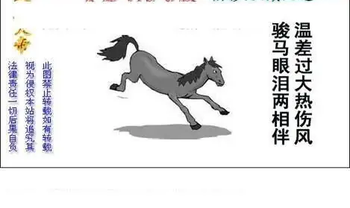 26064期: 白老3D杀码图版