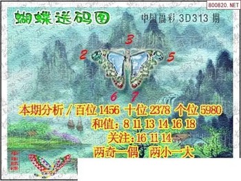 25313期: 3D蝴蝶世家蝴蝶彩图