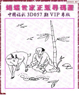 26057期: 3D蝴蝶世家蝴蝶彩图