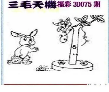 26075期: 三毛3D精品图谜
