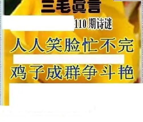 25110期: 三毛3D精品图谜