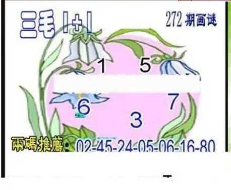 25272期: 三毛3D精品图谜