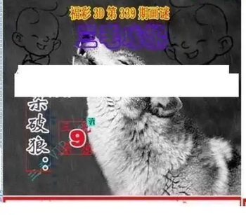 25339期: 三毛3D精品图谜