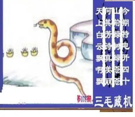 25078期: 三毛3D精品图谜