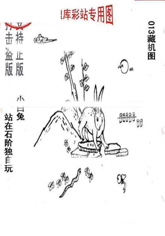 25013期: 老村长福彩3D天天图谜