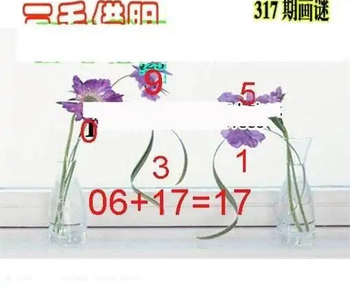 25317期: 三毛3D精品图谜
