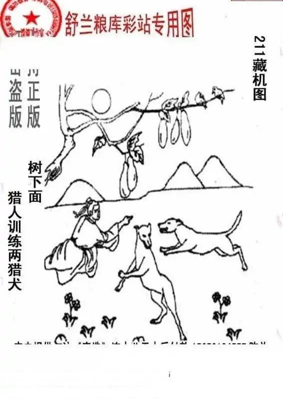 25211期: 老村长福彩3D天天图谜