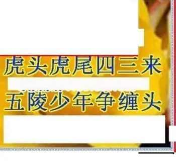 26083期: 三毛3D精品图谜