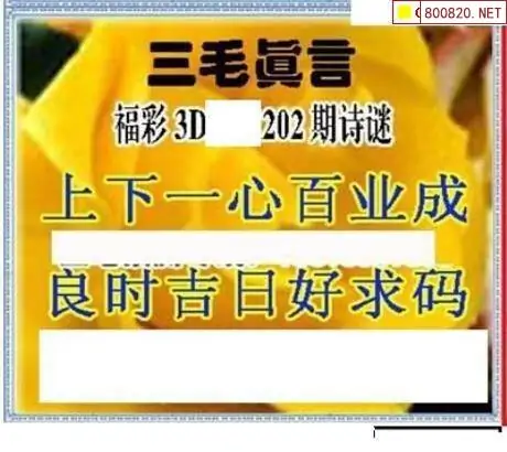 25202期: 三毛3D精品图谜