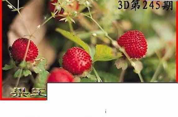 24245��: ����3Dɱ��ͼ��