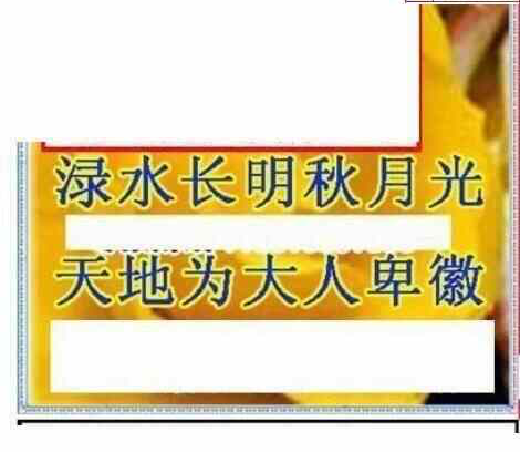 24070期: 三毛3D精品图谜