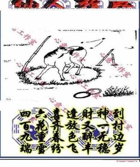 24082期: 三毛3D精品图谜