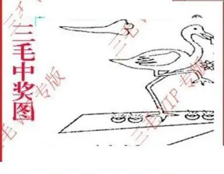 25267期: 三毛3D精品图谜