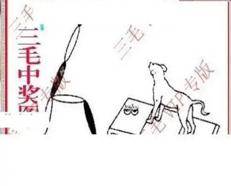 25262期: 三毛3D精品图谜