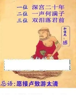 26081期: 白老3D杀码图版