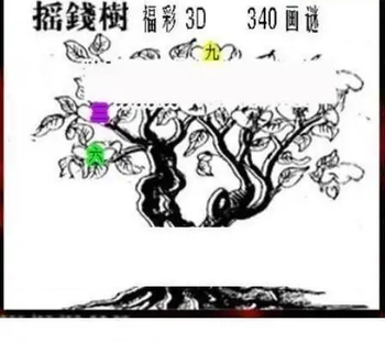 25340期: 三毛3D精品图谜