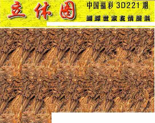 24221期: 3D蝴蝶世家蝴蝶彩图