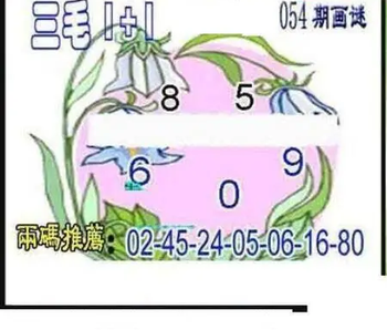 26054期: 三毛3D精品图谜