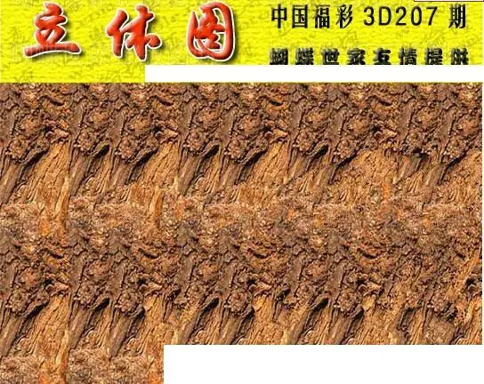 25207期: 3D蝴蝶世家蝴蝶彩图