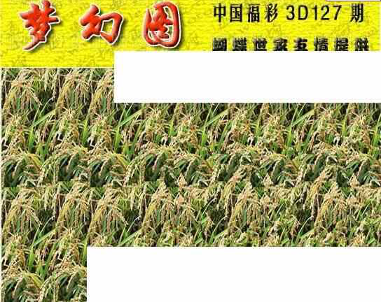 24127期: 3D蝴蝶世家蝴蝶彩图