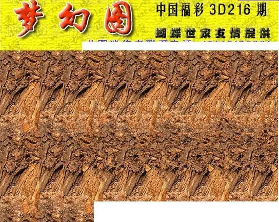 25216期: 3D蝴蝶世家蝴蝶彩图