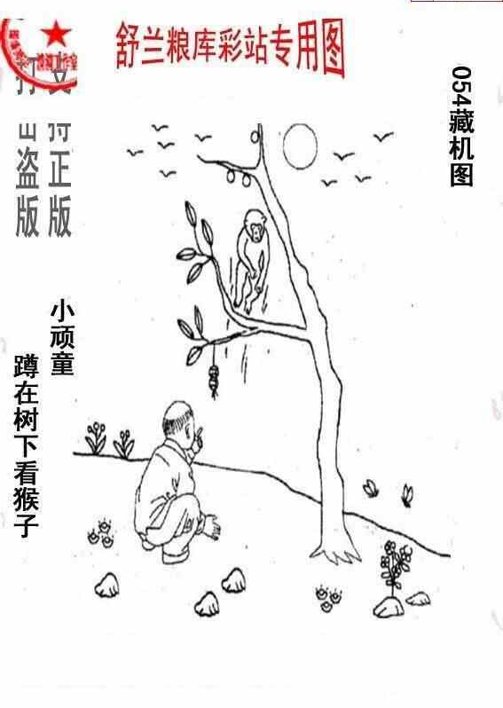 25054期: 老村长福彩3D天天图谜