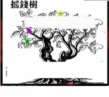 24094期: 三毛3D精品图谜