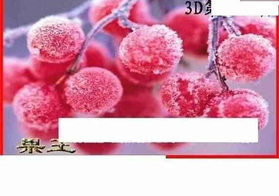 24125期: 白老3D杀码图版