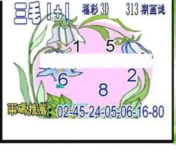 25313期: 三毛3D精品图谜