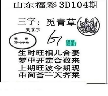 26104期: 三毛3D精品图谜