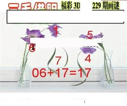 25229期: 三毛3D精品图谜