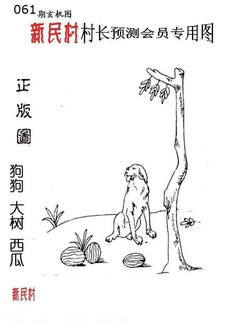 26061期: 老村长福彩3D天天图谜
