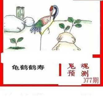 26077期: 白老3D杀码图版