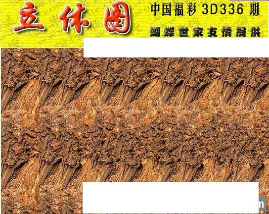 24336期: 3D蝴蝶世家蝴蝶彩图