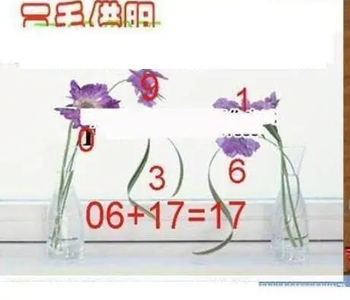 26084期: 三毛3D精品图谜