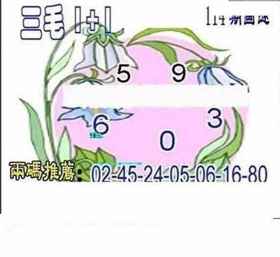 24114期: 三毛3D精品图谜