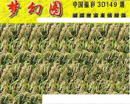 25149期: 3D蝴蝶世家蝴蝶彩图