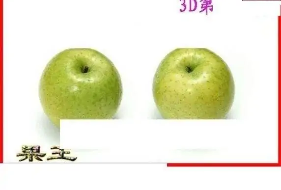 25133��: ����3Dɱ��ͼ��