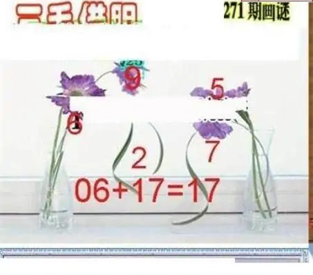 25271期: 三毛3D精品图谜