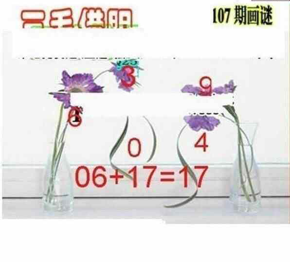 24107期: 三毛3D精品图谜