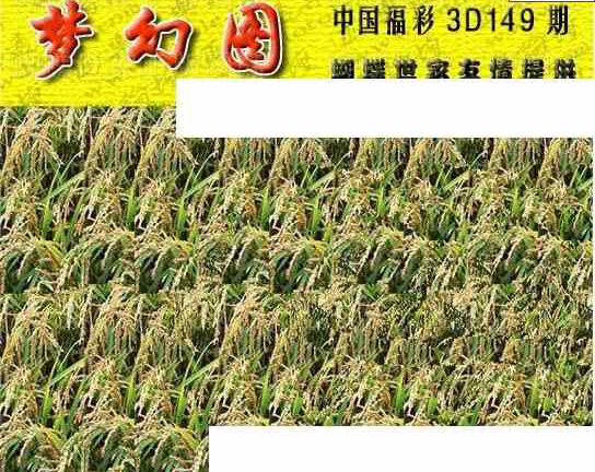 24149期: 3D蝴蝶世家蝴蝶彩图