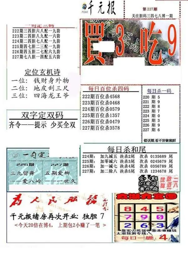25227期: 福彩3D全套图版参考