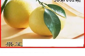 26002期: 白老3D杀码图版